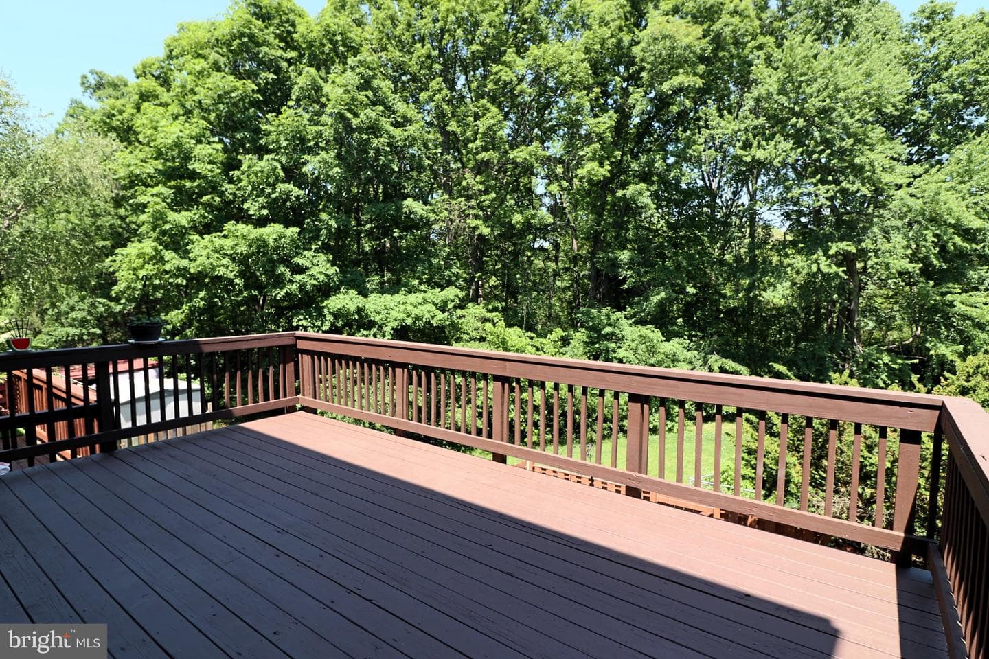 14904 Lady Madonna Court photo 38