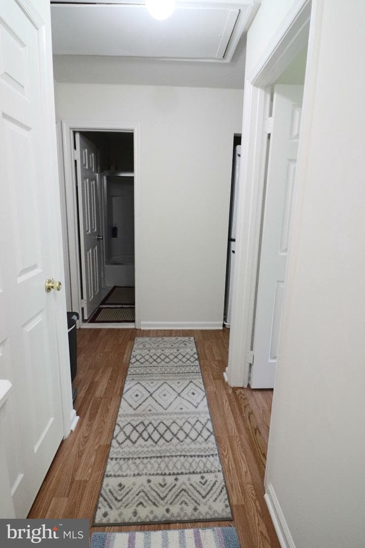 14904 Lady Madonna Court photo 46