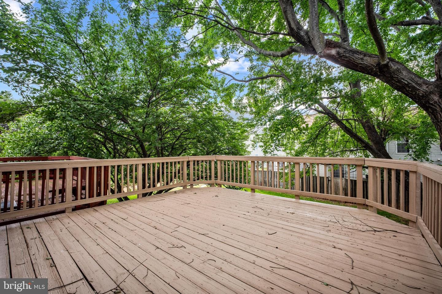 13562 Highland Mews Court photo 18