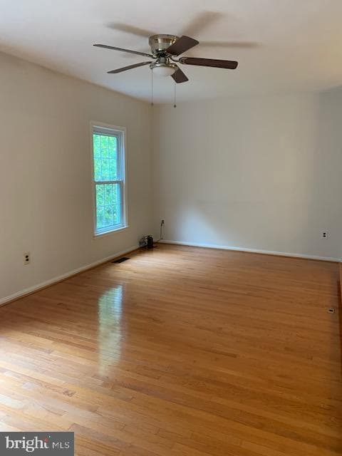 7416 Spring Tree Drive photo 16