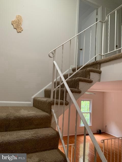 7416 Spring Tree Drive photo 20