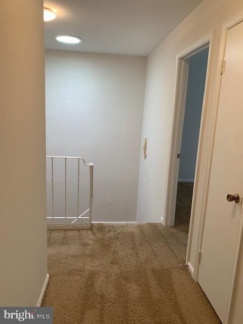 7416 Spring Tree Drive photo 26