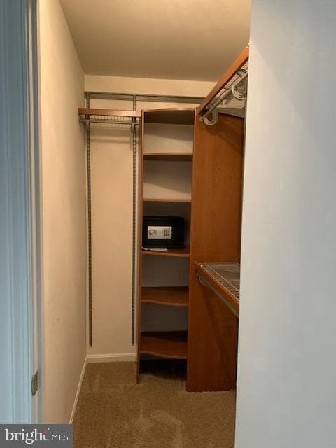 7416 Spring Tree Drive photo 30