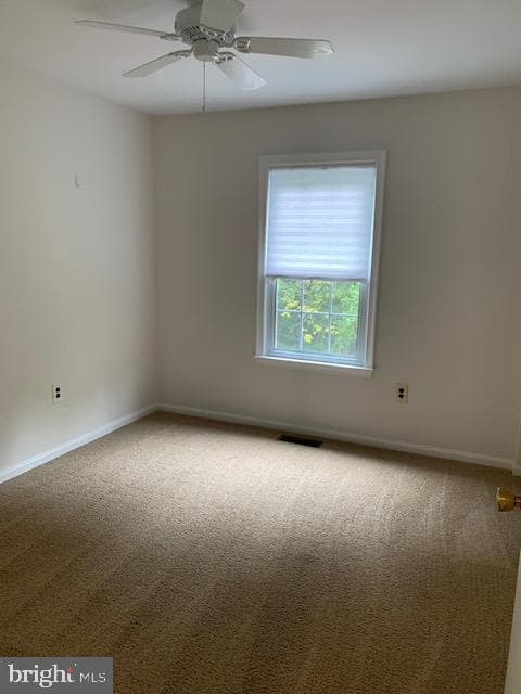 7416 Spring Tree Drive photo 31