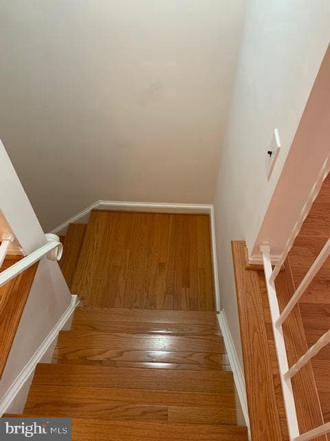 7416 Spring Tree Drive photo 35