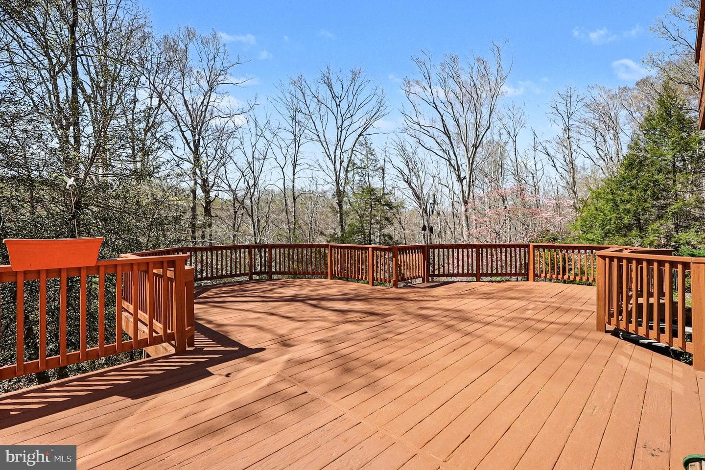 8406 Cathedral Forest Drive photo 36
