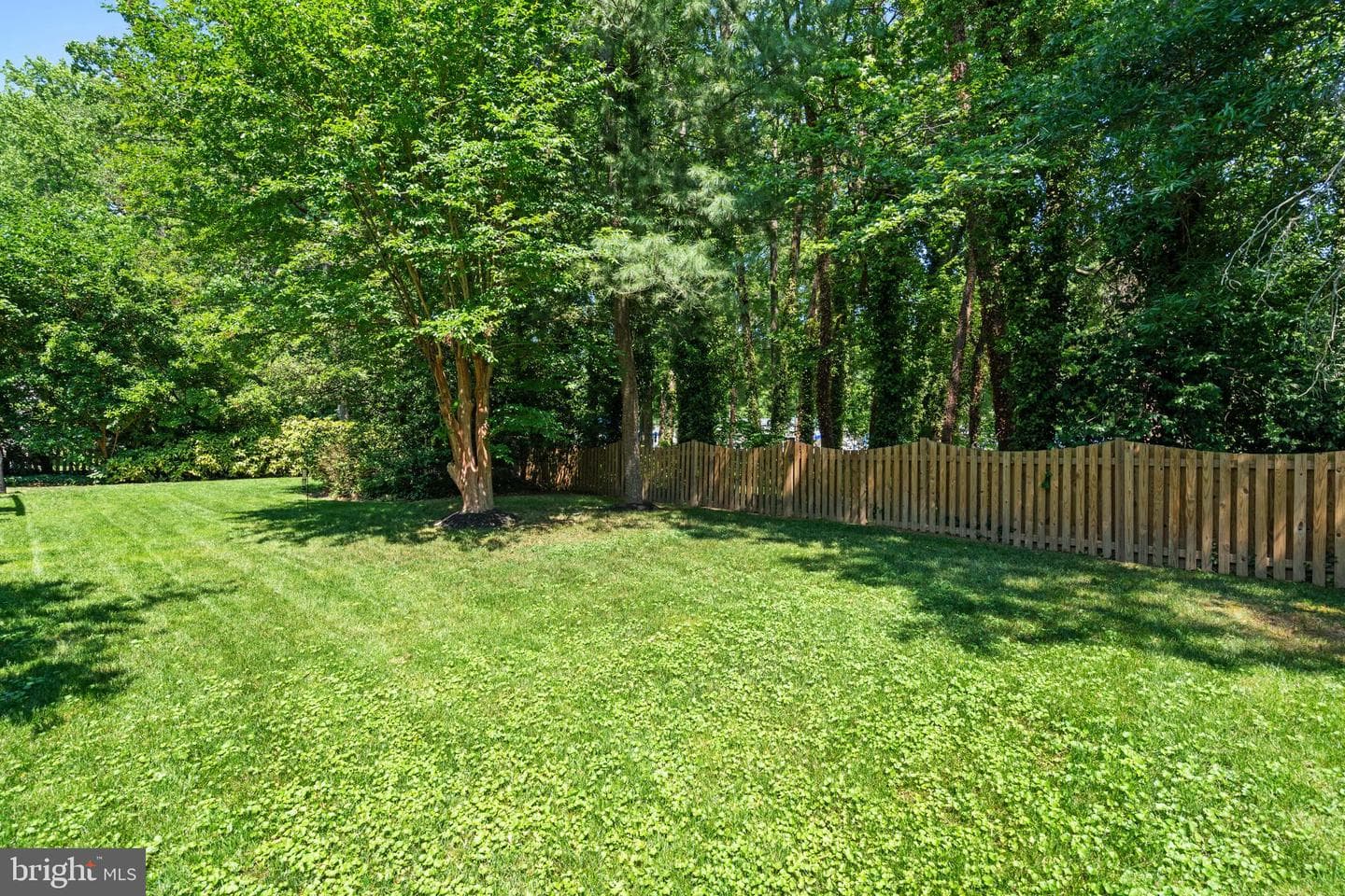 8611 Cyrus Place photo 44