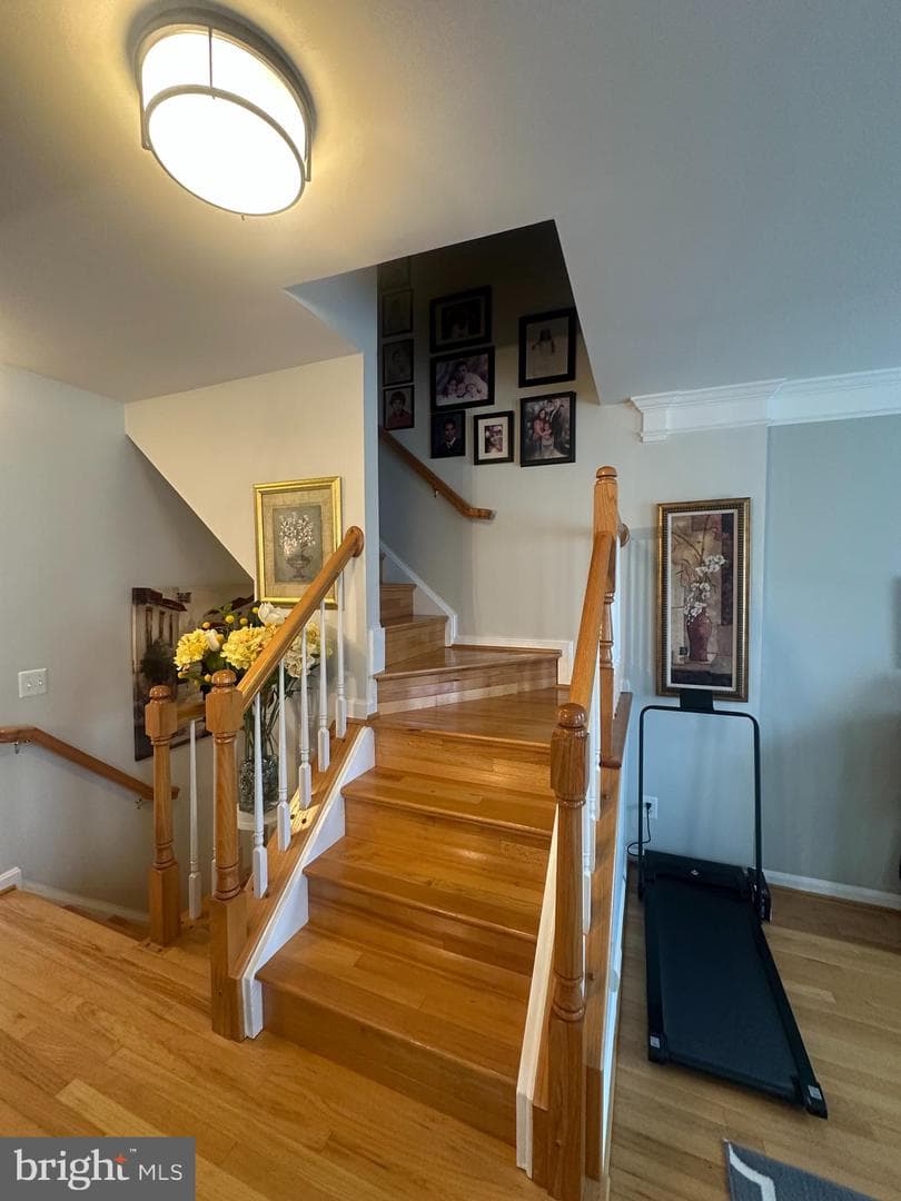 1163 Cypress Tree Place photo 16