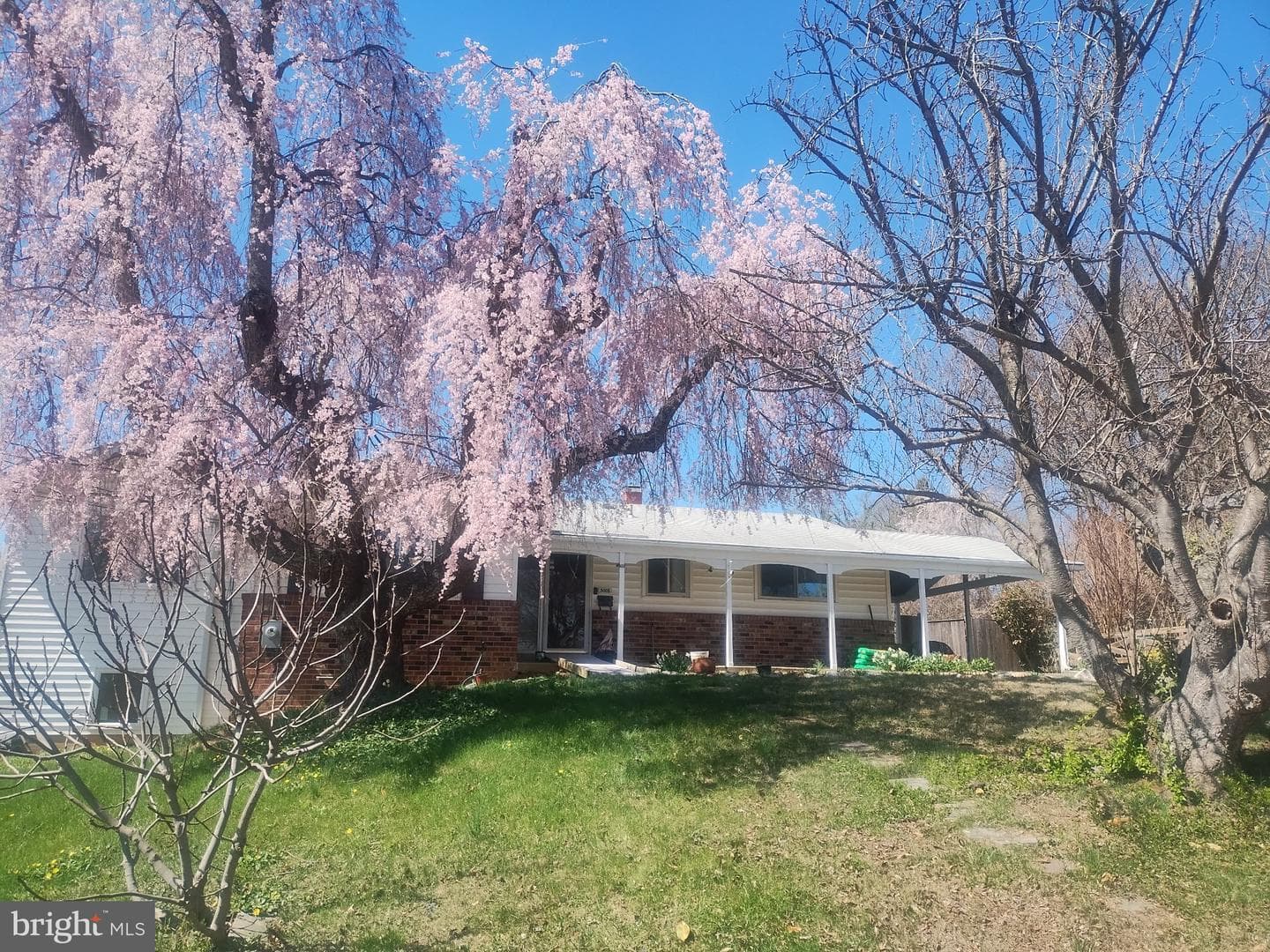 5008 Regina Drive, Annandale