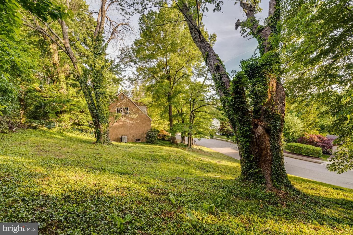 2008 Mason Hill Drive photo 48
