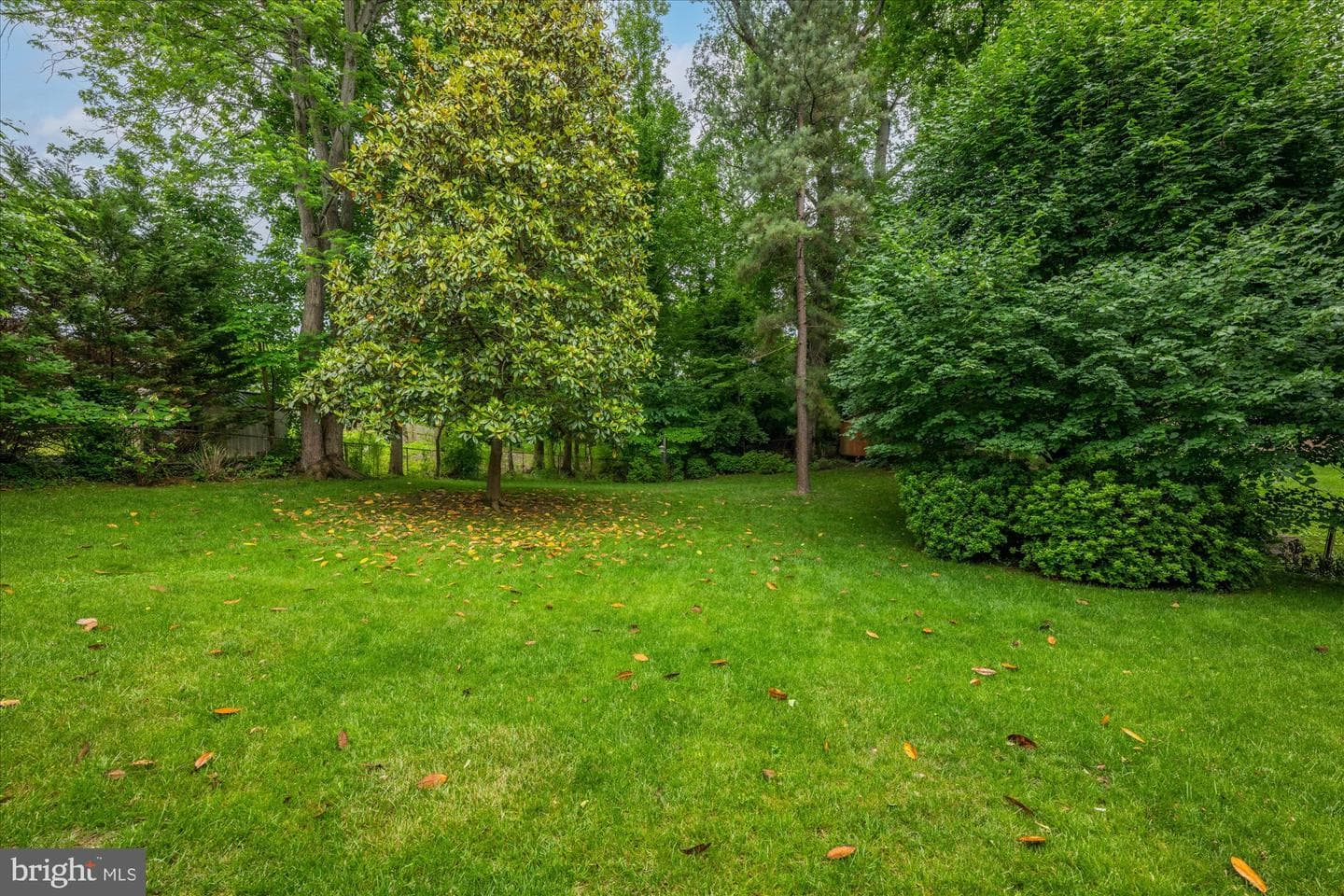 7809 Killebrew Drive photo 35