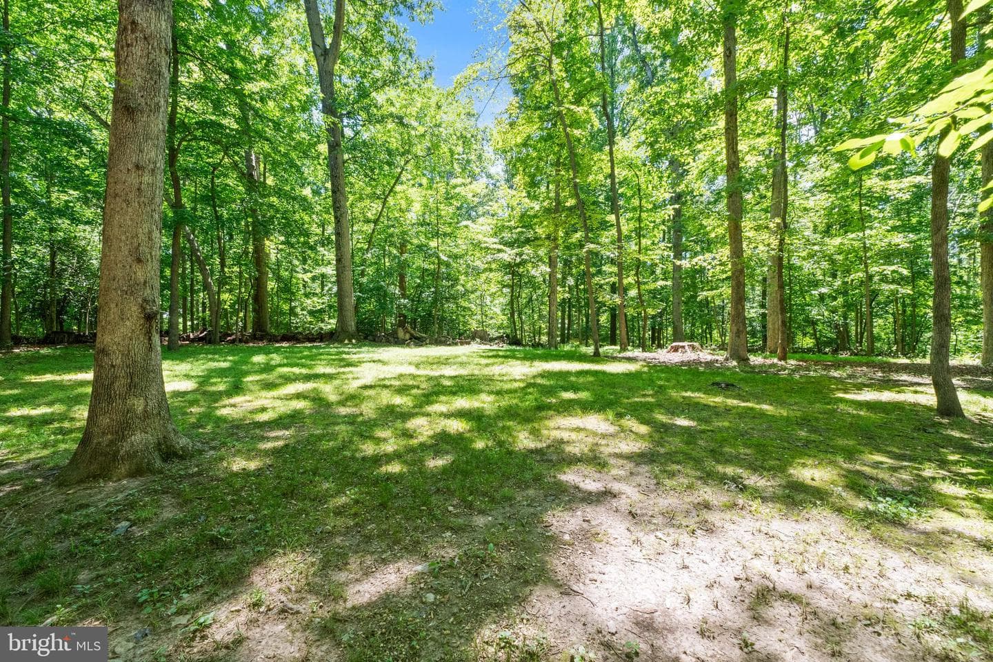 11609 Sourwood Lane photo 63