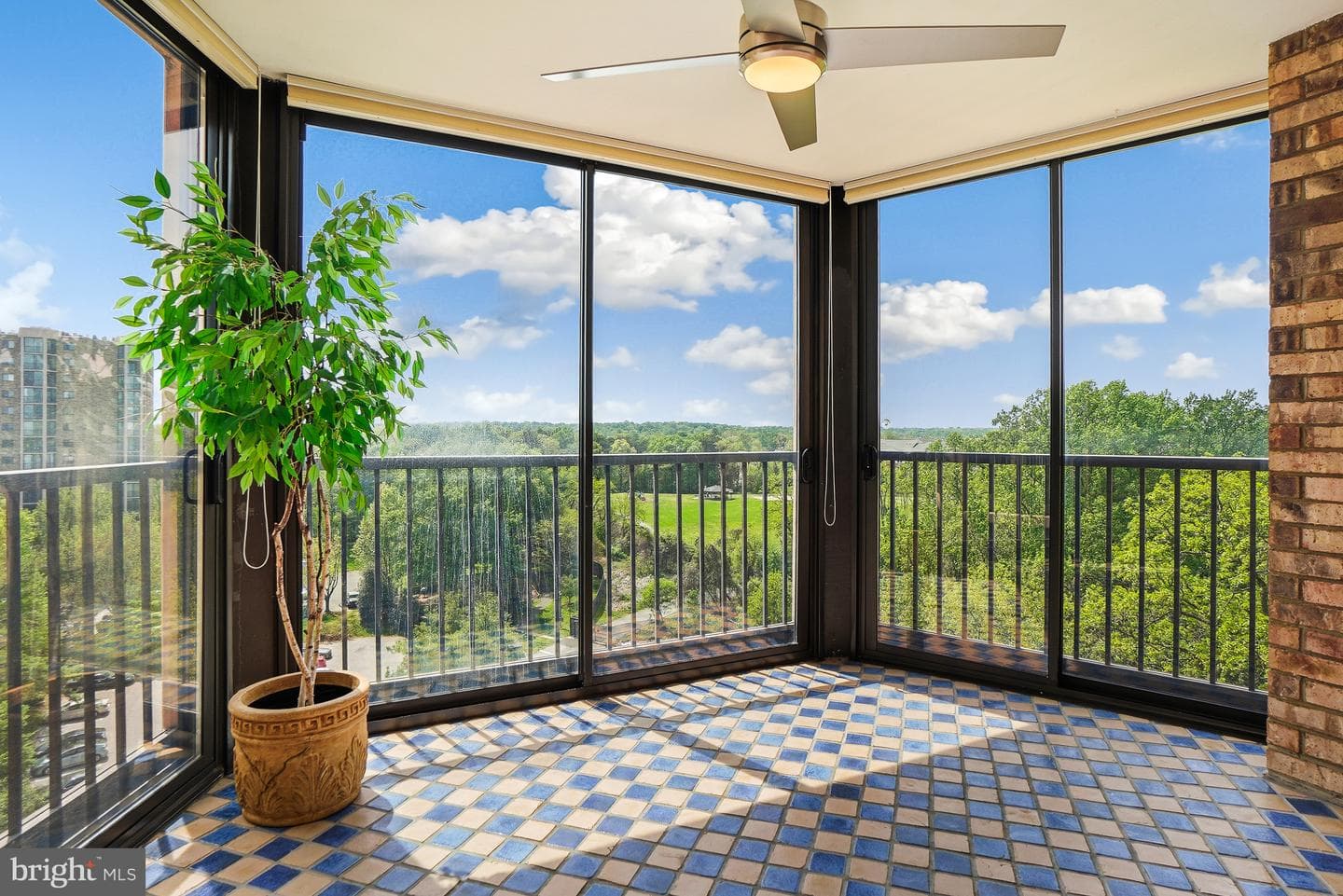 5901 Mount Eagle Drive #1005 photo 18