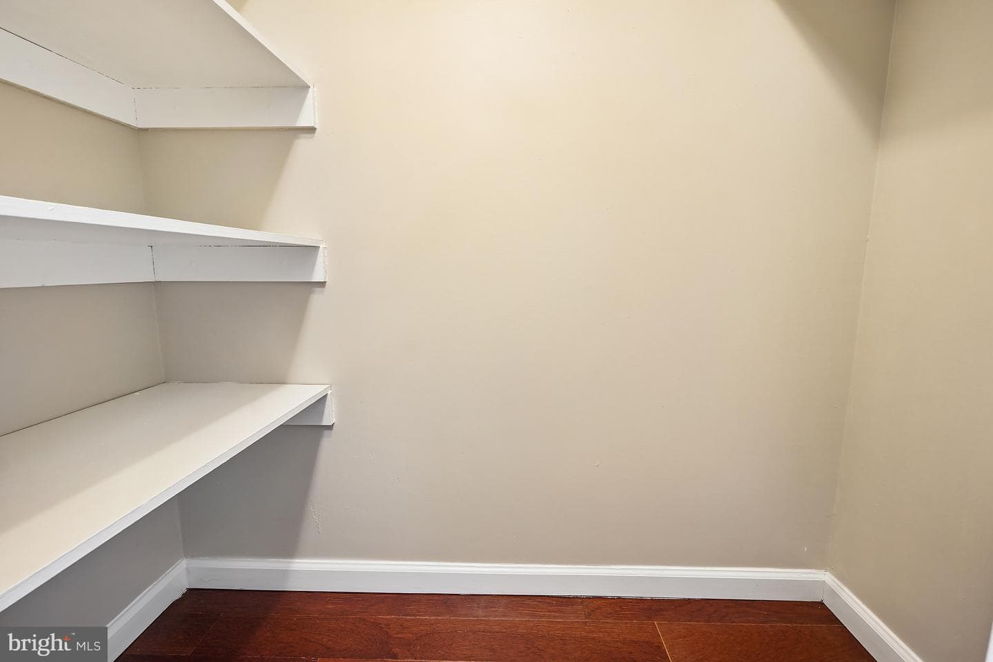 5901 Mount Eagle Drive #1005 photo 23