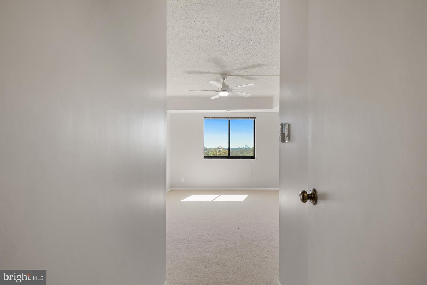 5901 Mount Eagle Drive #1005 photo 39