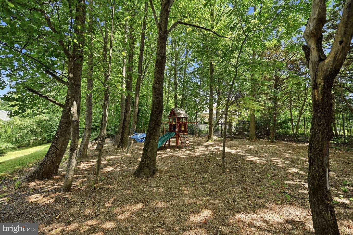 11693 Caris Glenne Drive photo 63