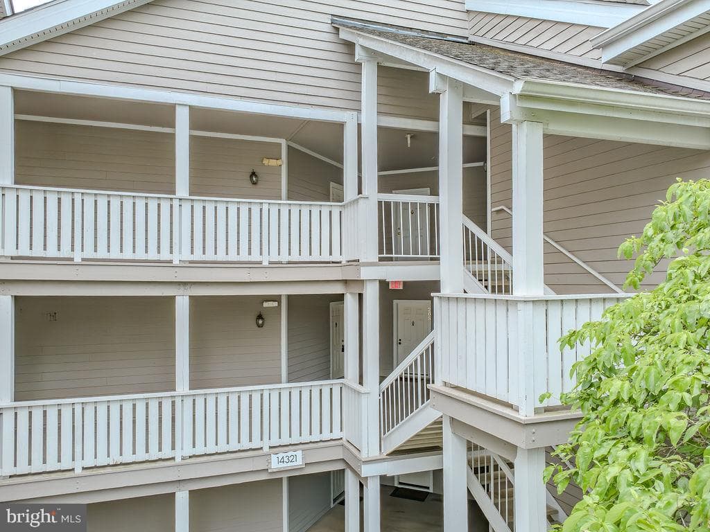 14321 Climbing Rose Way #204 photo 39