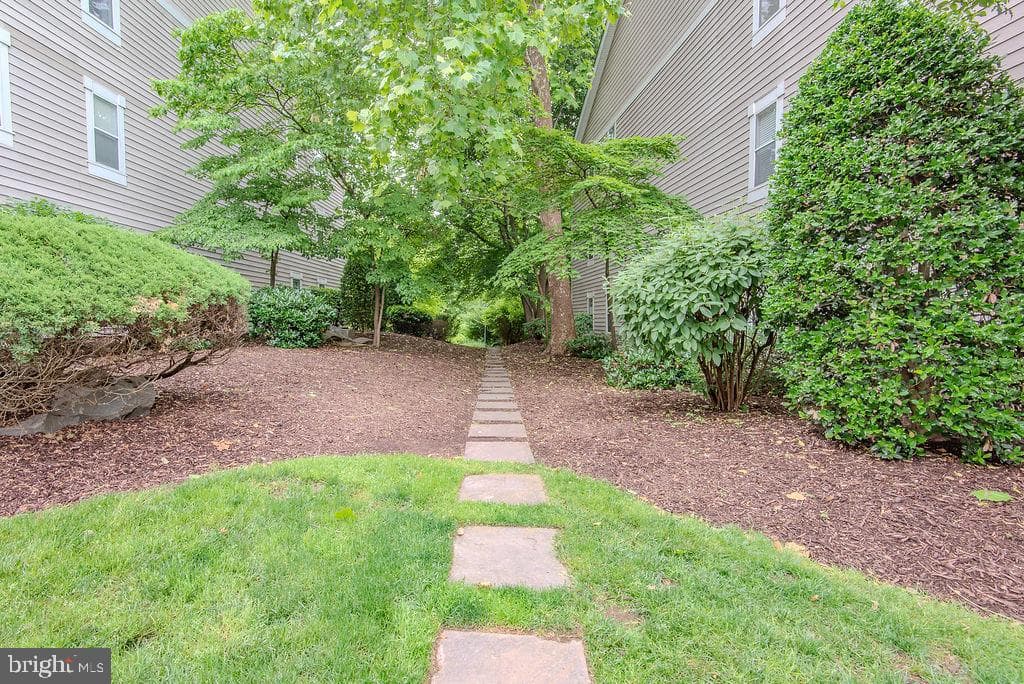 14321 Climbing Rose Way #204 photo 44