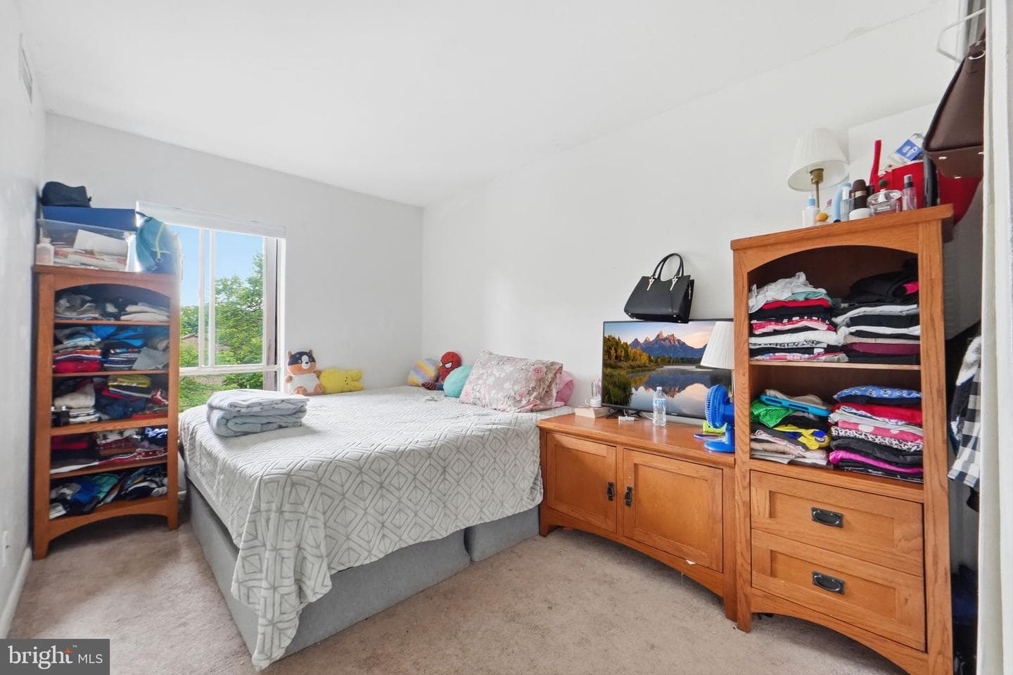 2231 Castle Rock Square #22c photo 9