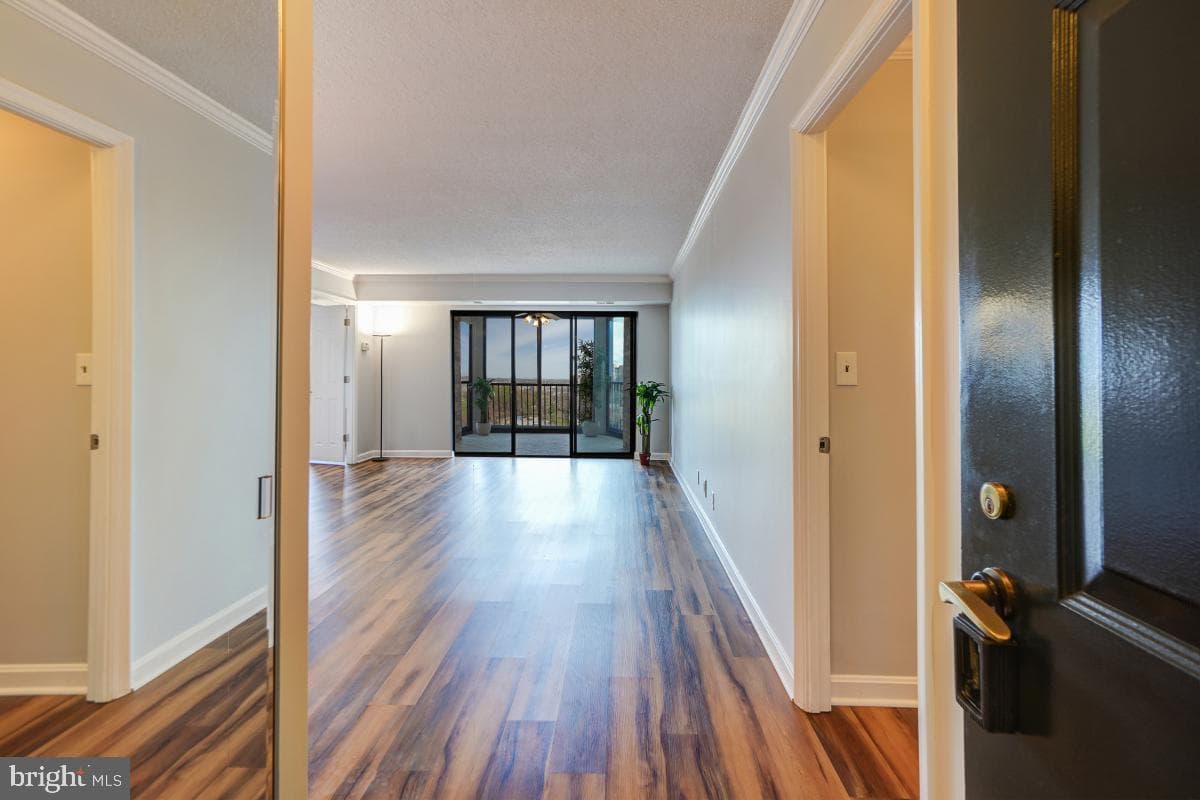 5902 Mount Eagle Drive #1501 photo 3