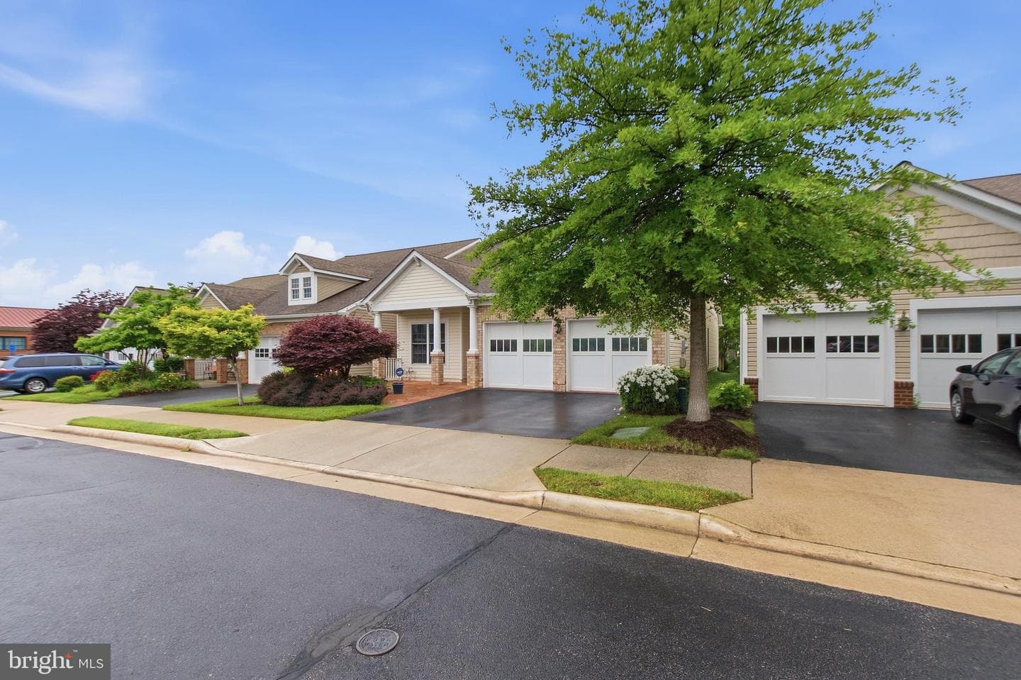 8932 Pink Carnation Court photo 41
