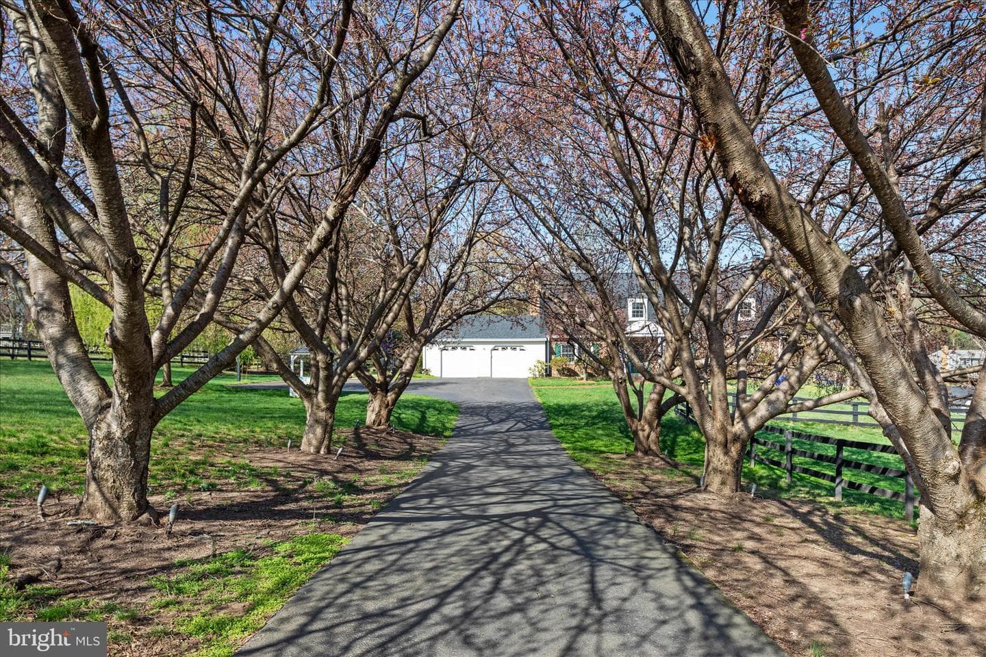 3022 Fox Den Ln photo 81