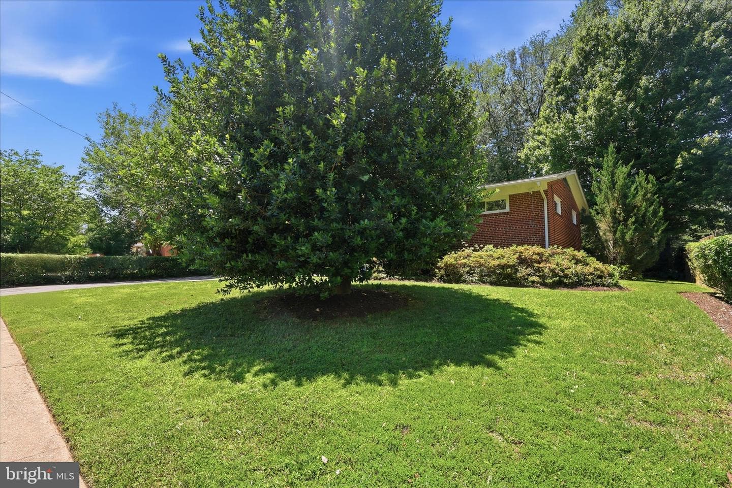1608 Westmoreland Street photo 48