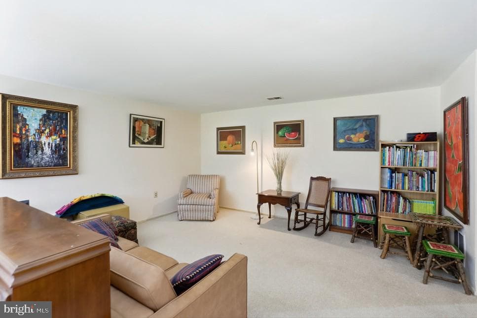 10913 Adare Drive photo 20