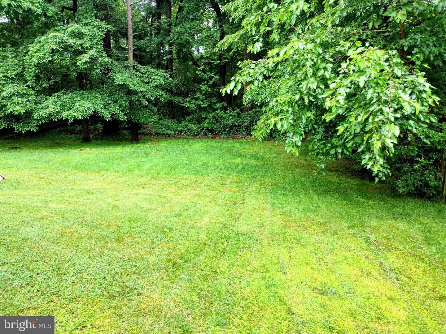 10913 Adare Drive photo 24