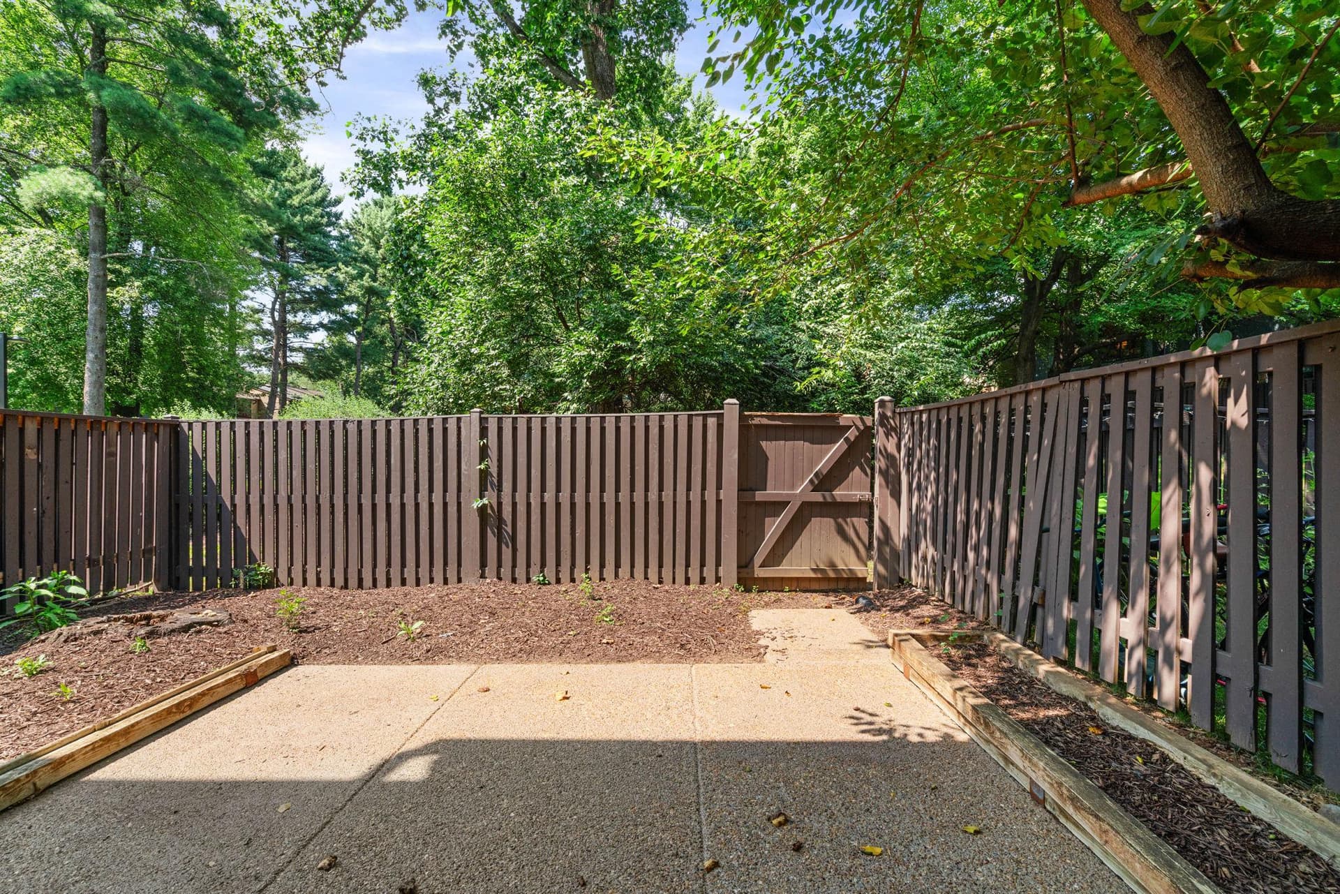 1806 Ivy Oak #43 photo 32