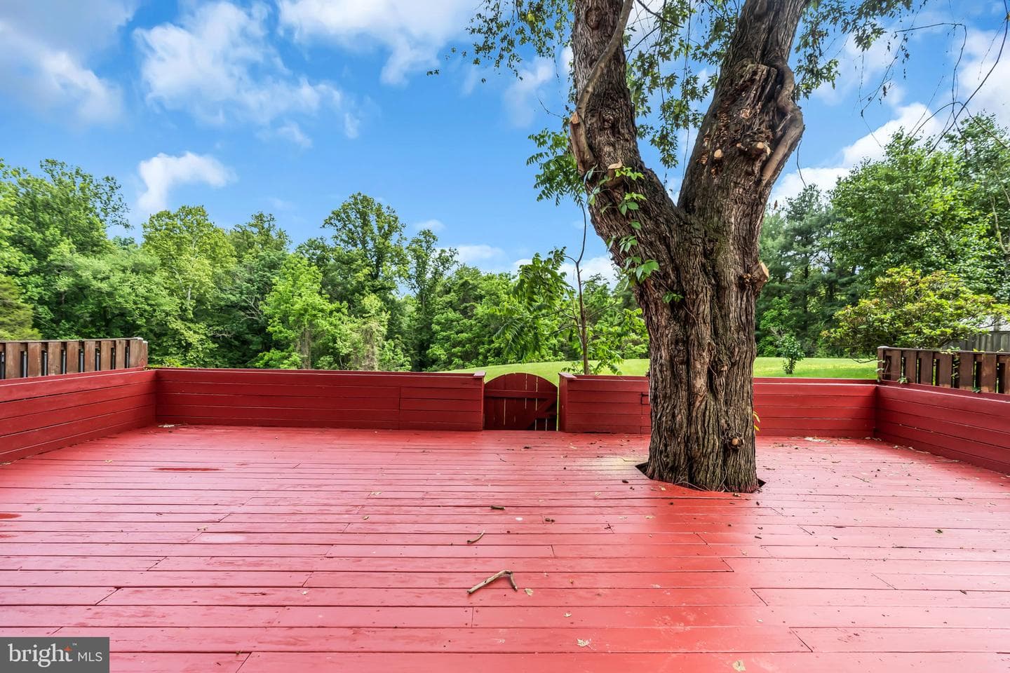 9636 Westport Lane photo 35