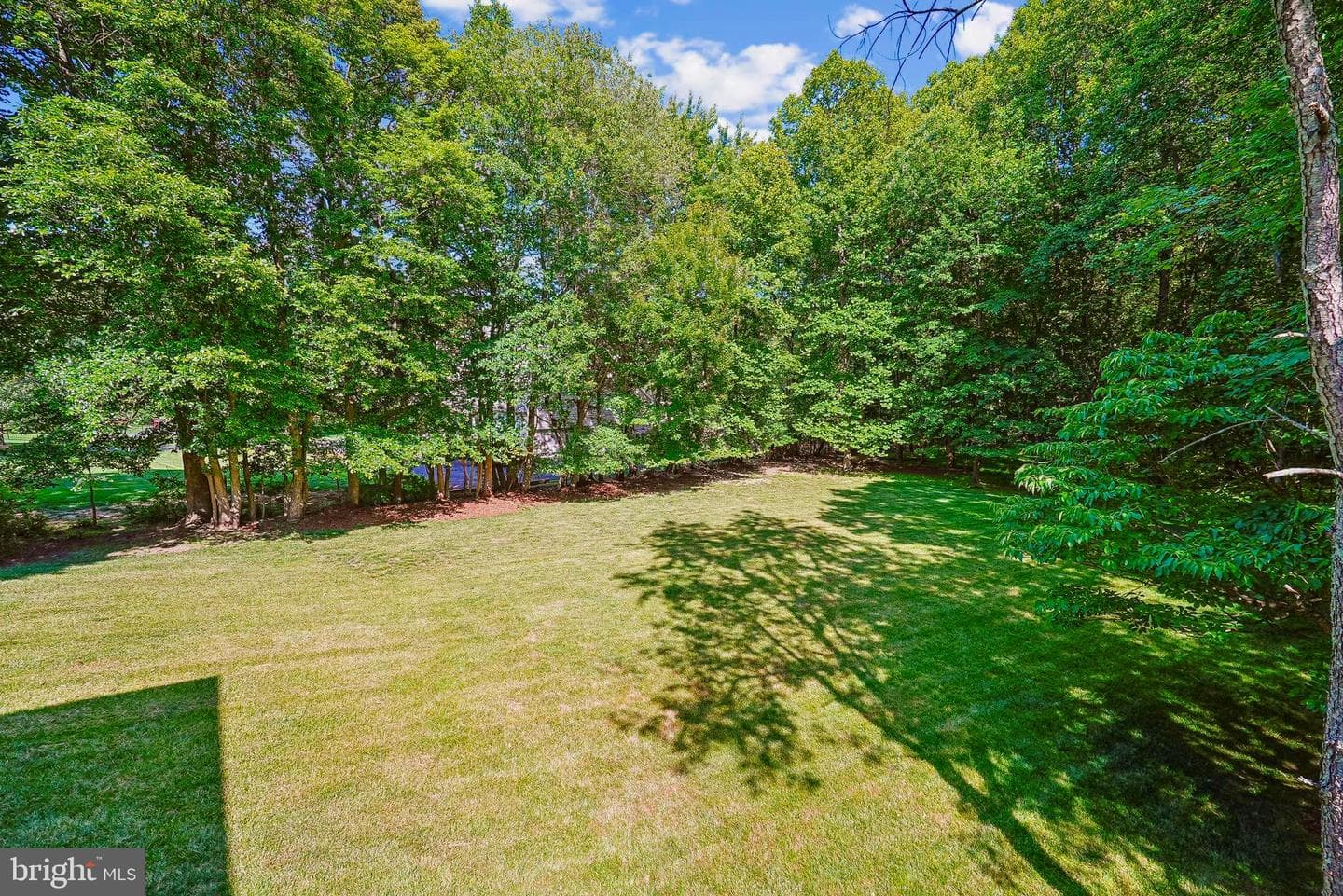 12361 Clareth Drive photo 69