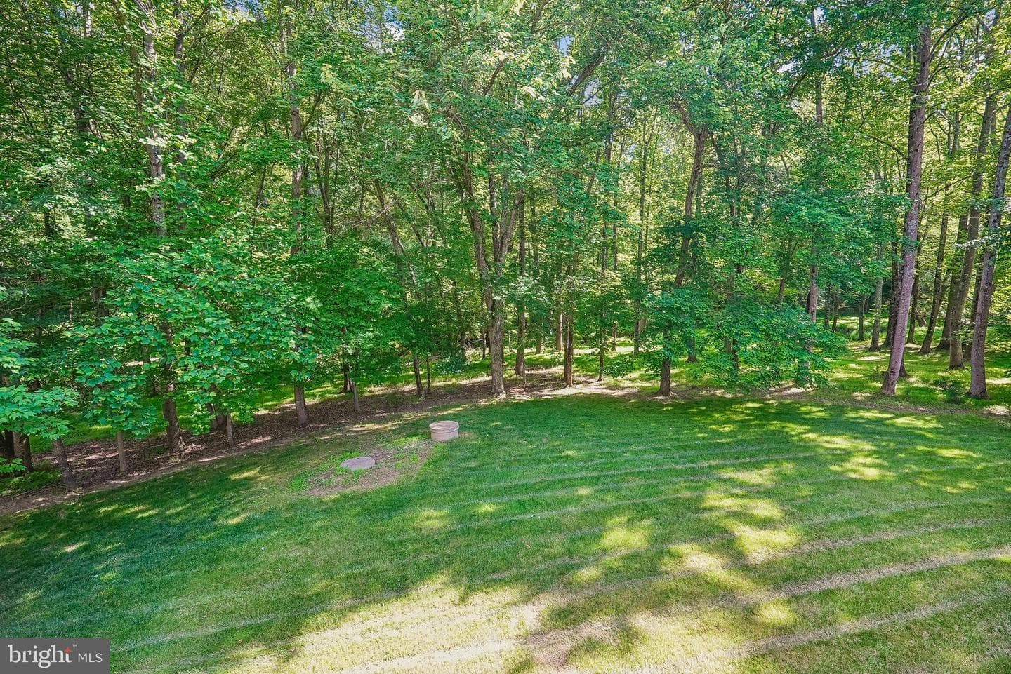 12361 Clareth Drive photo 9