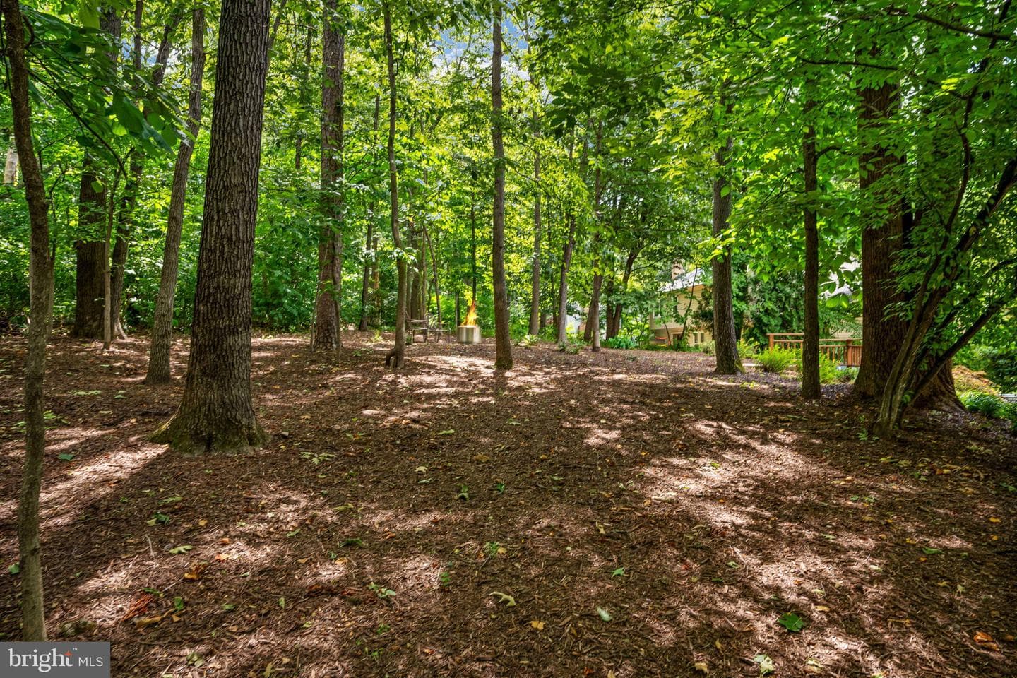 12035 Lake Newport Road photo 64