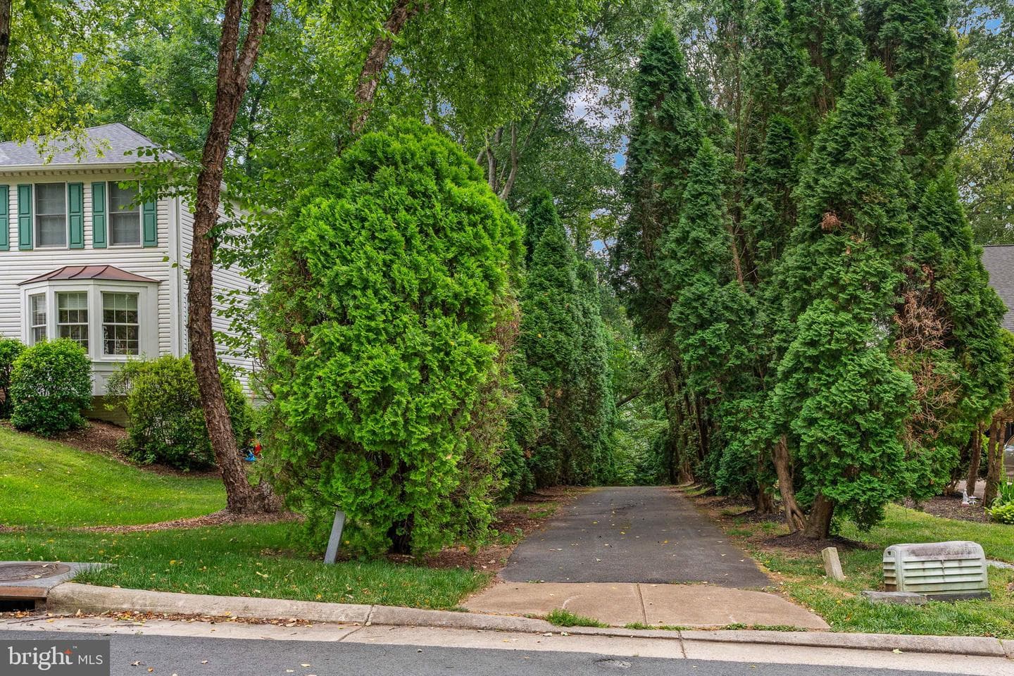 12035 Lake Newport Road photo 66