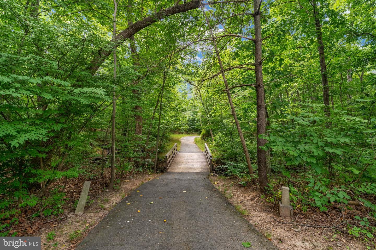 12035 Lake Newport Road photo 67