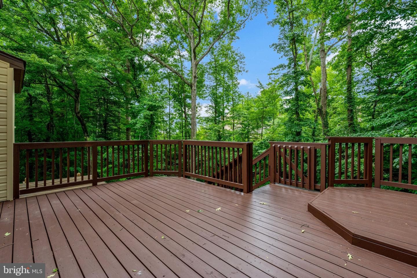 7373 Silver Pine Drive photo 51