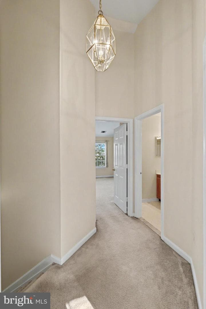 4805 Great Heron Terrace photo 31