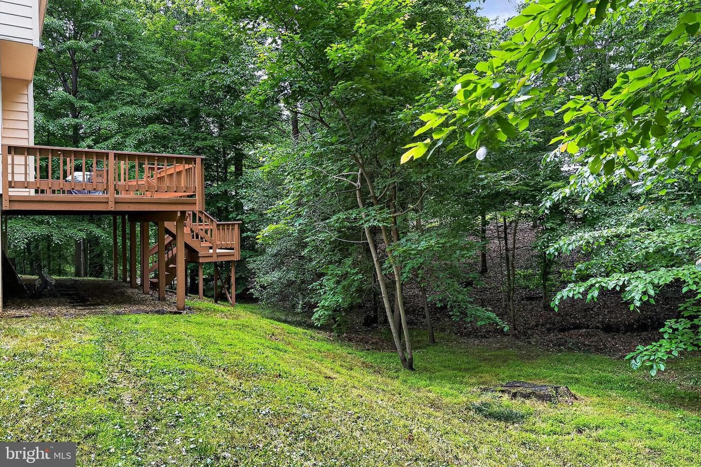 6042 Makely Drive photo 46