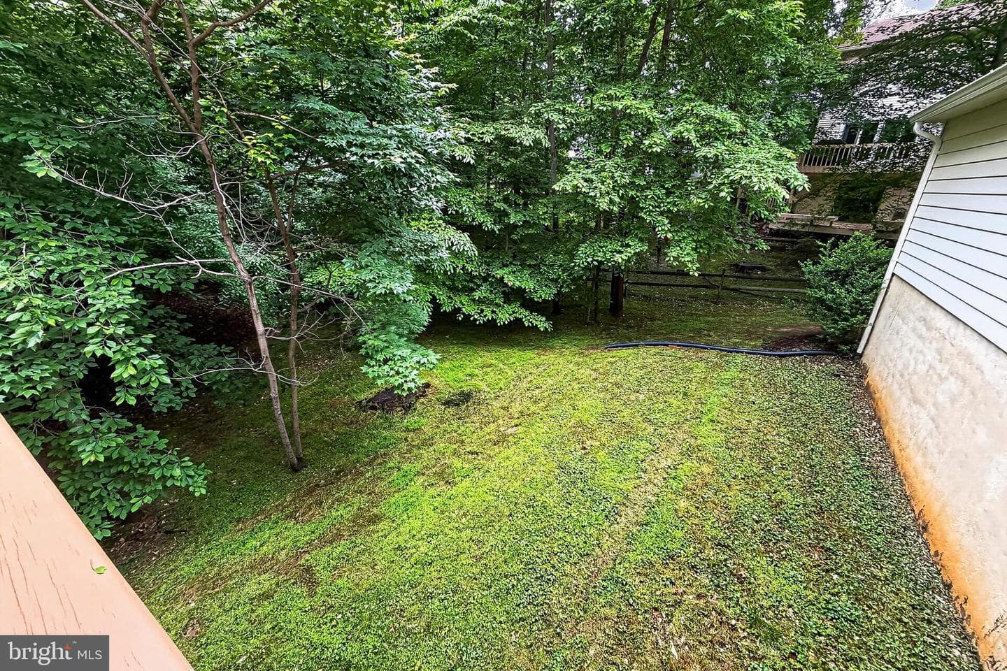 6042 Makely Drive photo 48