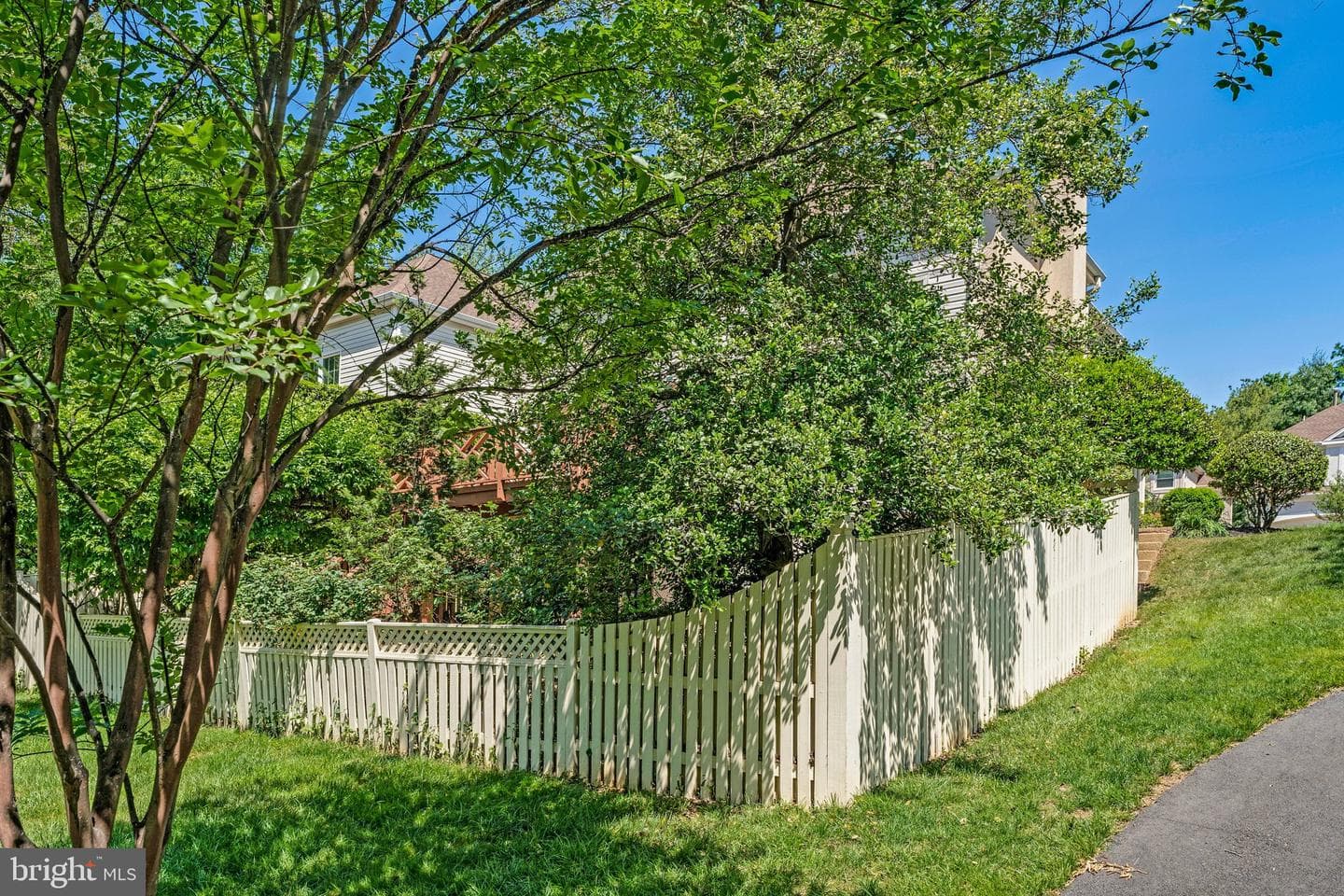 10003 Donal Lane photo 51