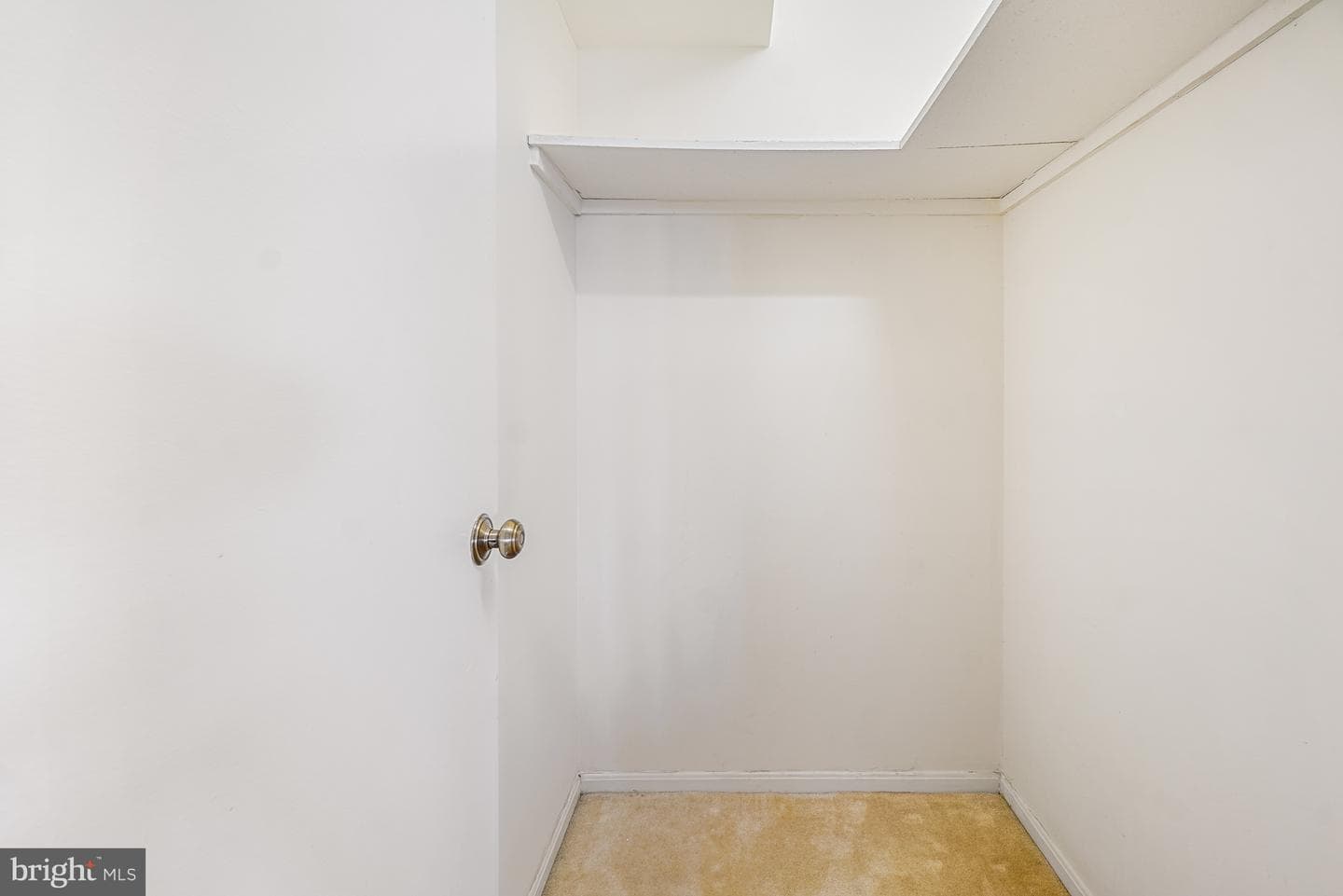 5901 Mount Eagle Drive #1216 photo 28