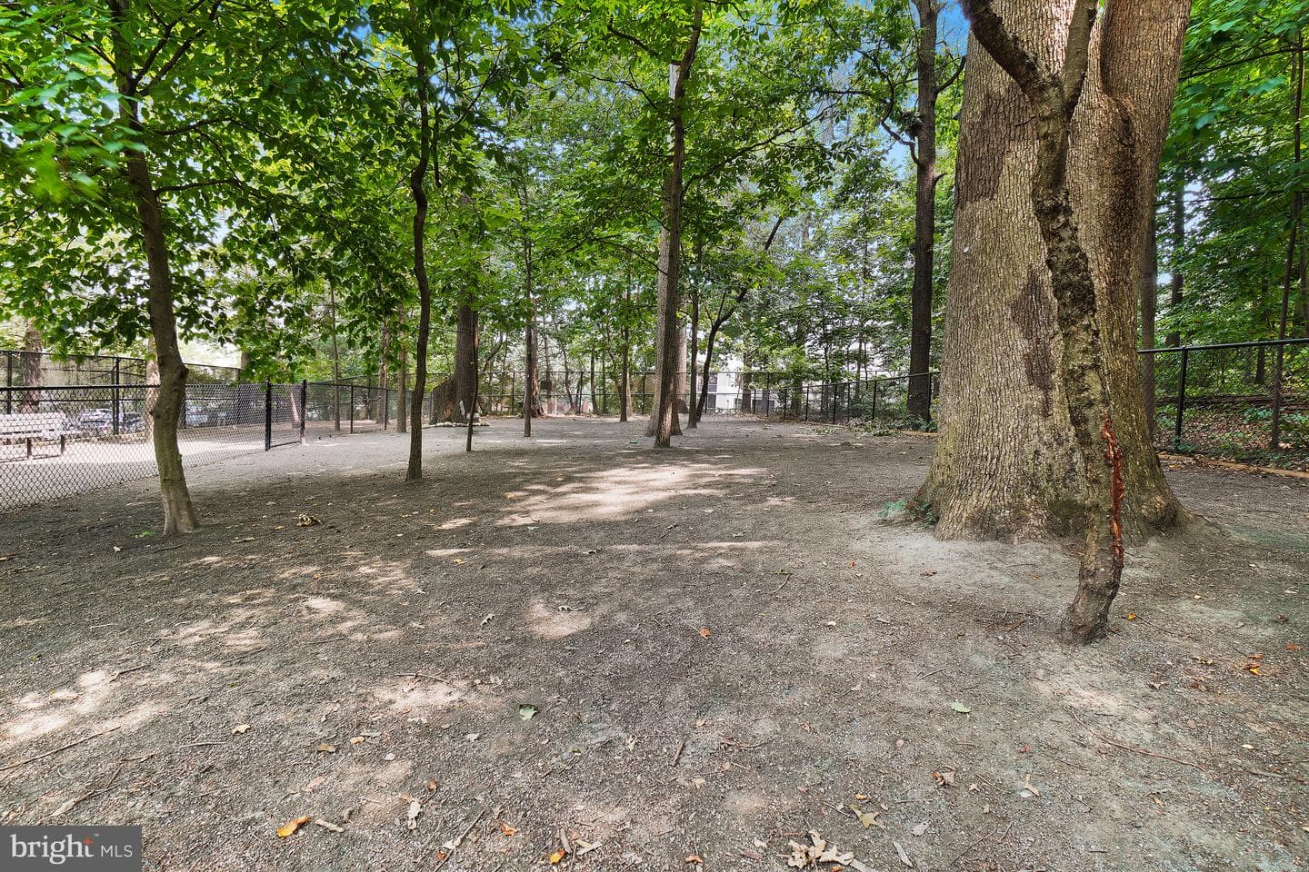 5901 Mount Eagle Drive #1216 photo 86