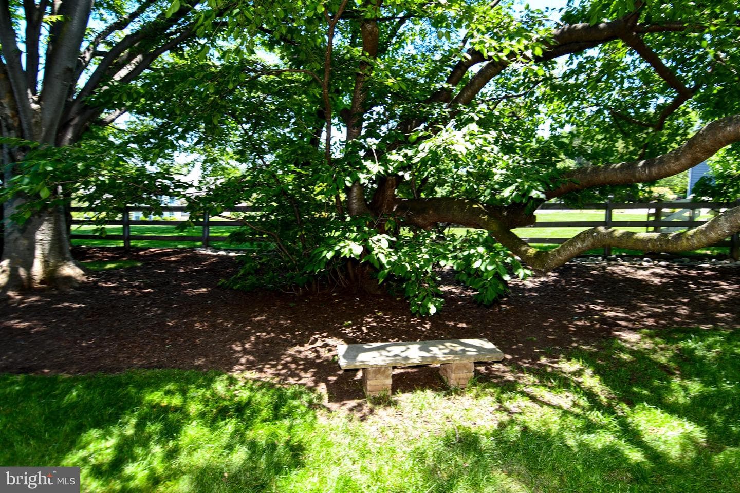 11061 Tottenham Lane photo 83
