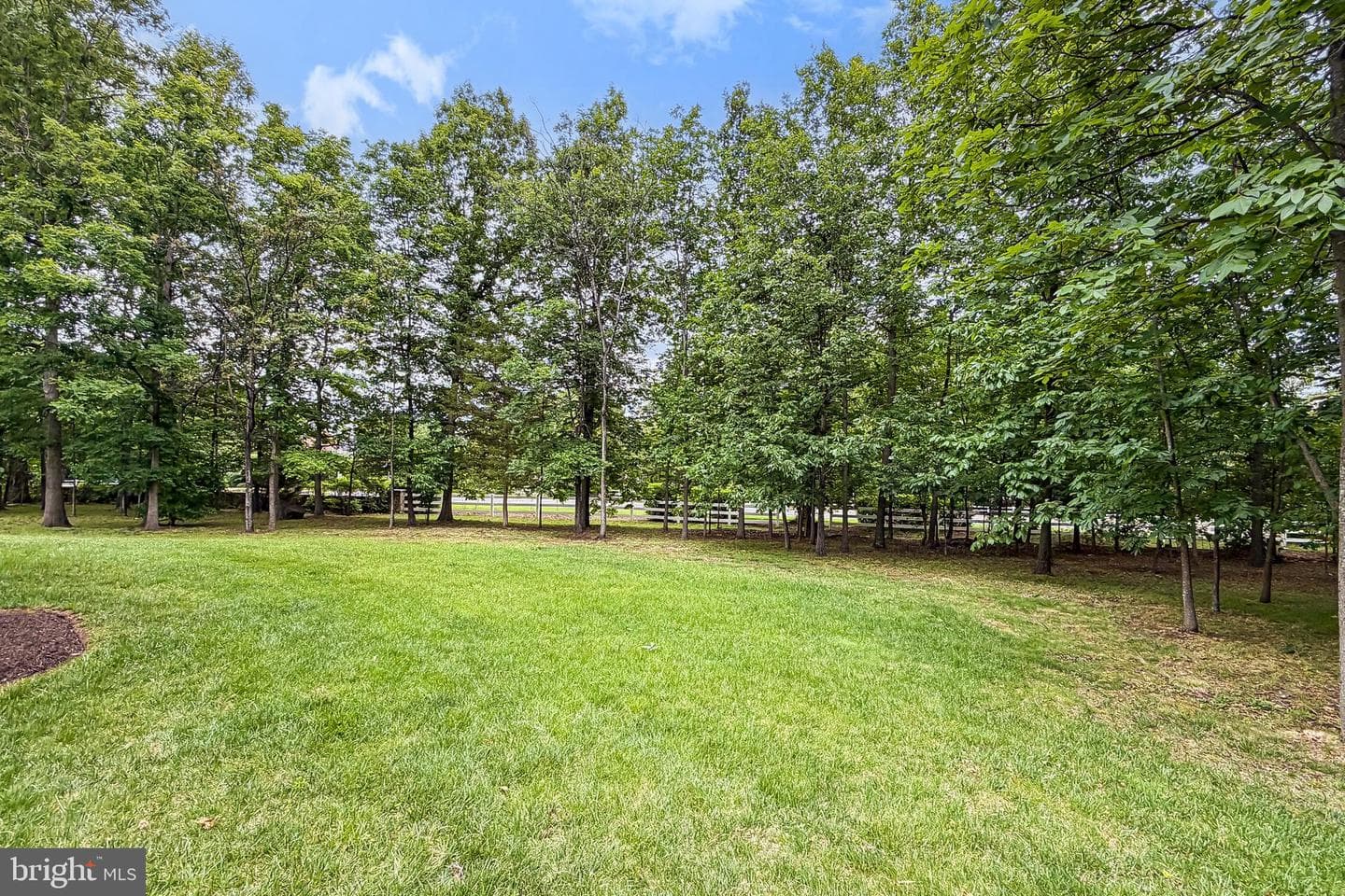 5841 Saddle Downs Place photo 87