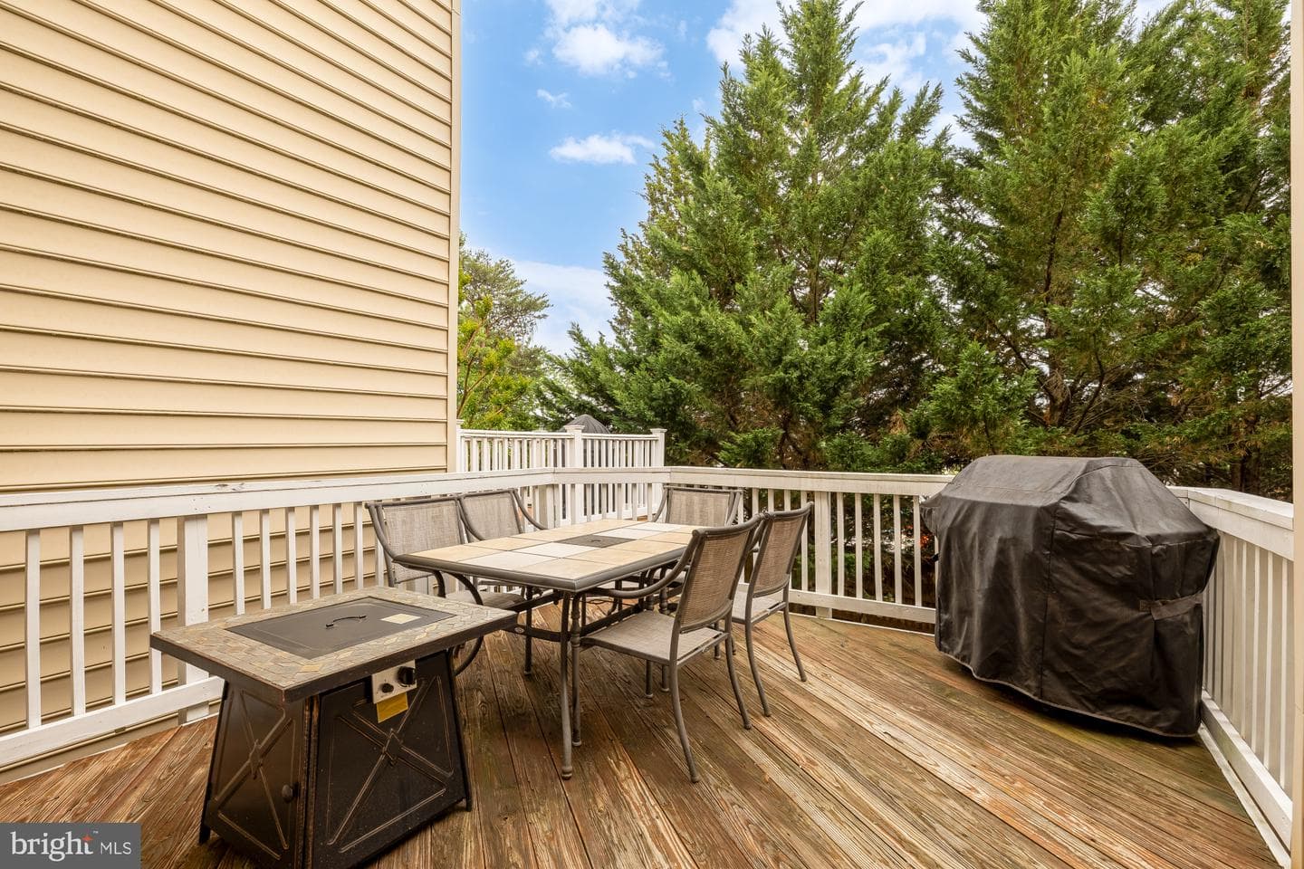 5420 Edsall Ridge Place photo 9