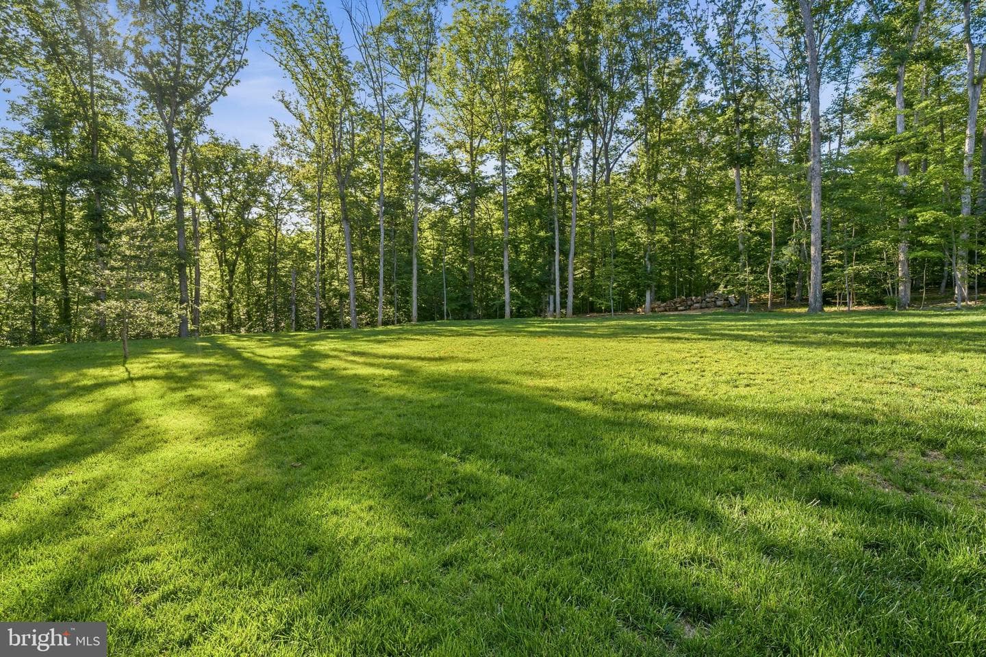 8018 Eddy Bend Trail photo 51