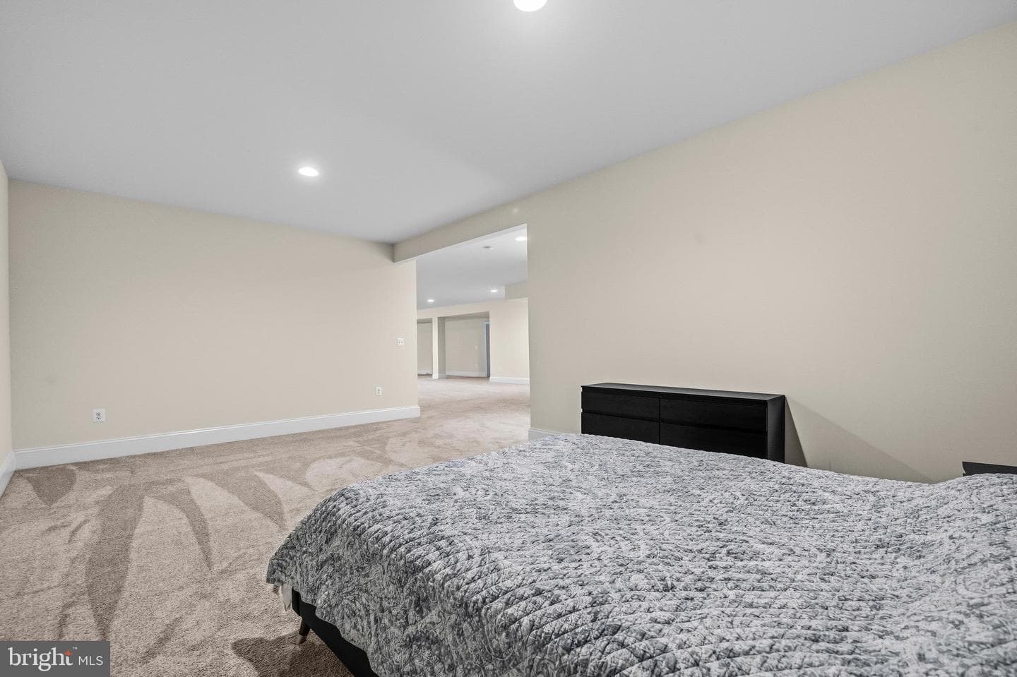 11865 Boscobel Court photo 54