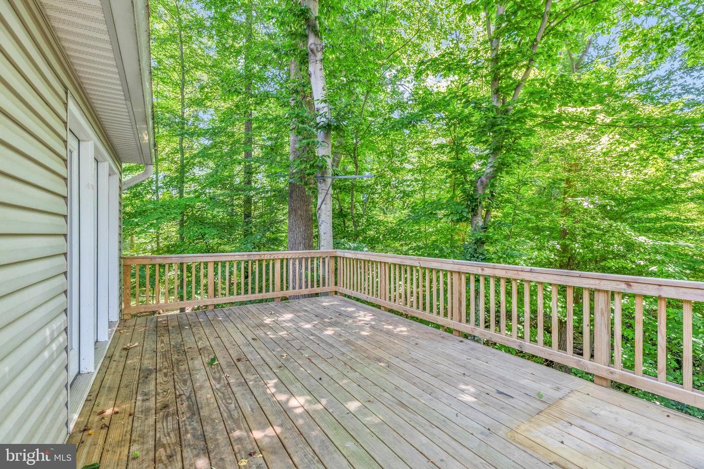 9695 Holly Oak Court photo 38