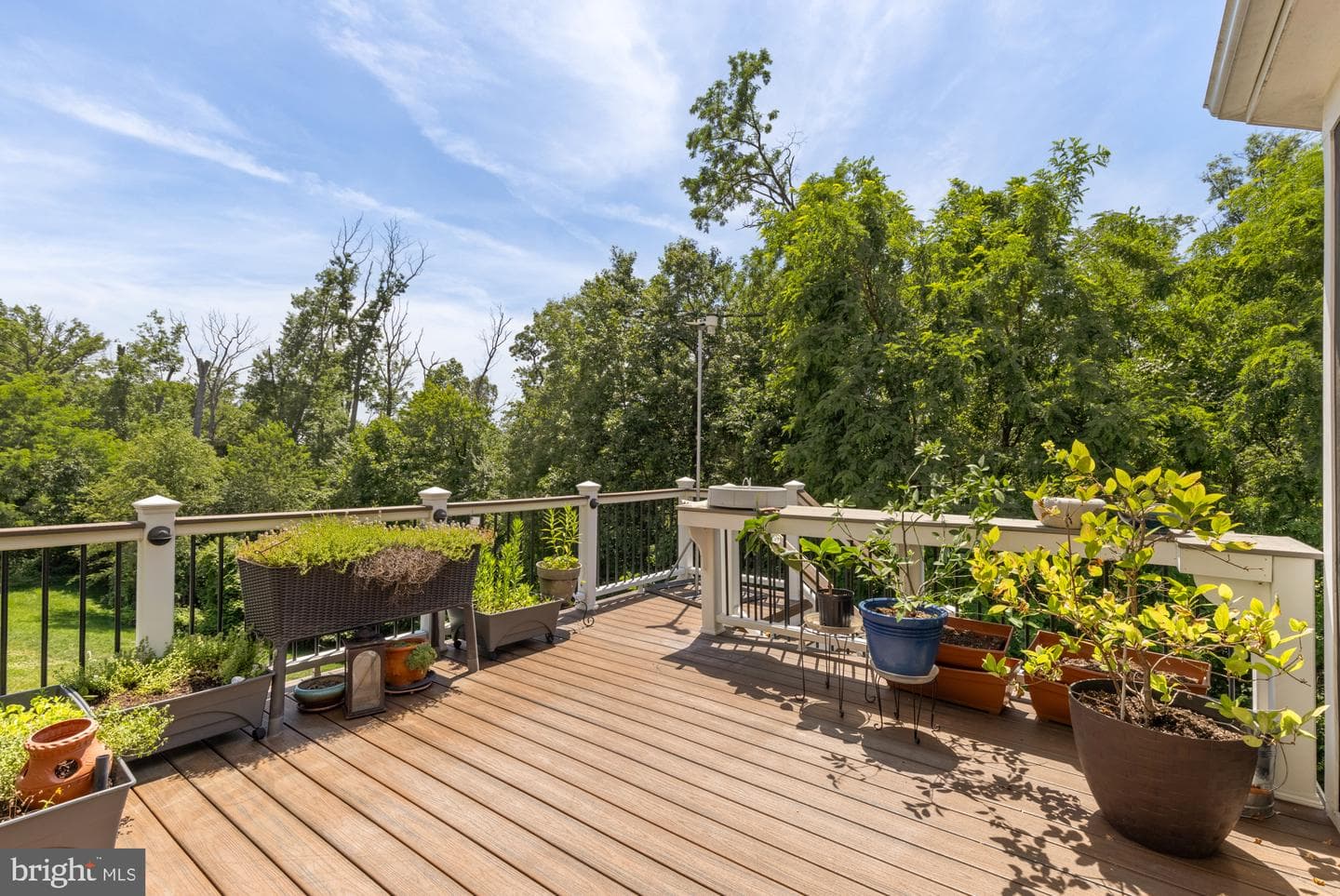 6522 Wayside Place photo 56